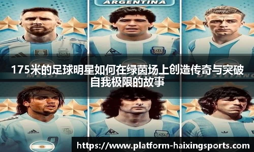 海星体育在线直播