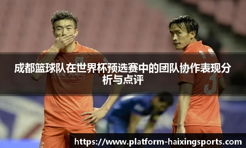 成都篮球队在世界杯预选赛中的团队协作表现分析与点评